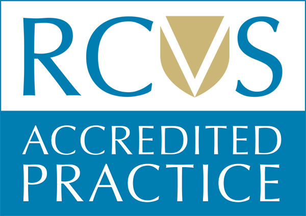 RCVS Accreditation Logo