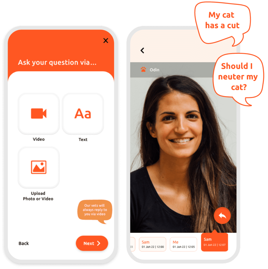 Vet App Mockup