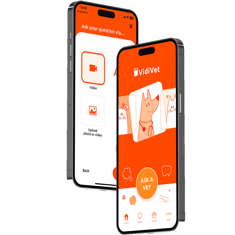 Vet App Mockup